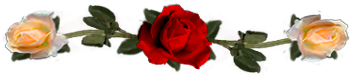 <img:stuff/DividerRosesRed-OrPeach.png.jpg>