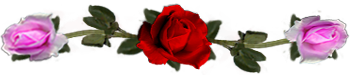 <img:stuff/DividerRosesRed-Pink.png.jpg>