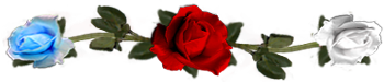 <img:stuff/DividerRosesRed-Wh-Bl.png.jpg>