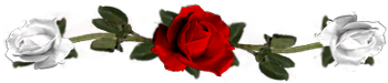 <img:stuff/DividerRosesRed-White.png.jpg>