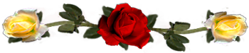 <img:stuff/DividerRosesRed-Yel.png.jpg>