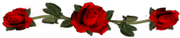<img:stuff/DividerRosesRed.png.jpg>