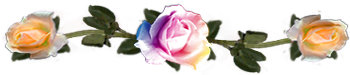 <img:stuff/DividerRosesVar-OrPeach.png.jpg>