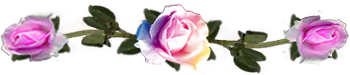 <img:stuff/DividerRosesVar-Pink.png.jpg>
