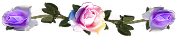 <img:stuff/DividerRosesVar-Var.png.jpg>