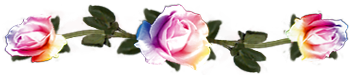 <img:stuff/DividerRosesVar.png.jpg>