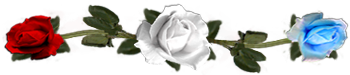 <img:stuff/DividerRosesWh-Bl-Red.png.jpg>
