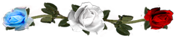 <img:stuff/DividerRosesWh-Red-Bl.png.jpg>