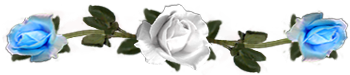 <img:stuff/DividerRosesWhite-LtBlue.png.jpg>
