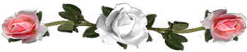 <img:stuff/DividerRosesWhite-OrPeach.png.jpg>