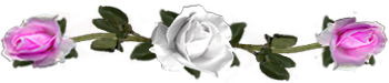 <img:stuff/DividerRosesWhite-Pink.png.jpg>