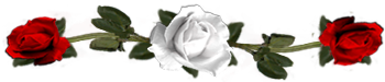<img:stuff/DividerRosesWhite-Red.png.jpg>