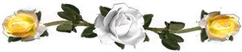 <img:stuff/DividerRosesWhite-Yel.png.jpg>