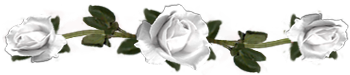 <img:stuff/DividerRosesWhite.png.jpg>