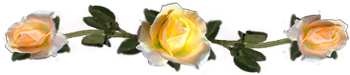 <img:stuff/DividerRosesYel-OrPeach.png.jpg>