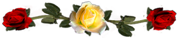 <img:stuff/DividerRosesYel-Red.png.jpg>