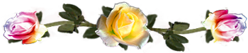 <img:stuff/DividerRosesYel-Var.png.jpg>