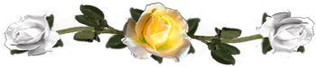 <img:stuff/DividerRosesYel-White.png.jpg>