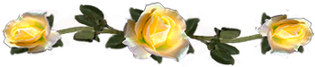 <img:stuff/DividerRosesYel.png.jpg>