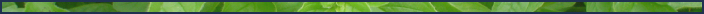 <img:stuff/Divider_Or_leafb.jpg>