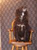 <img0*100:stuff/Don_on_a_chair.jpg>
