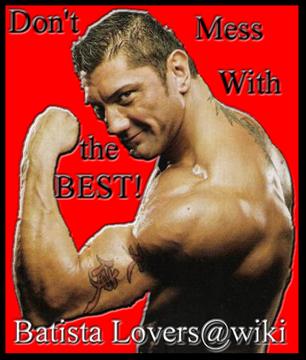 <img:stuff/Dont_Mess_Batista_Badge.jpg>