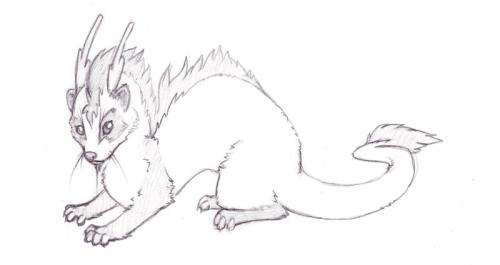 <img500*265:stuff/Dragon_Ferret.jpg>