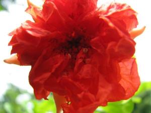 <img300*0:stuff/Droplet_in_Detail.jpg>