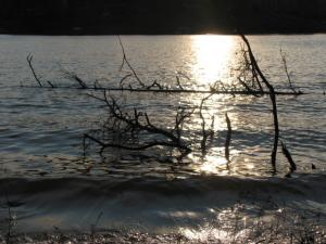 <img300*0:stuff/Drought.jpg>