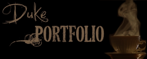 <img:stuff/DukePortfolio.jpg>