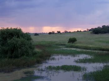 <img:http://elftown.heddate.com/stuff/E%3APromise%20of%20Rain.jpg?y=0&x=350>