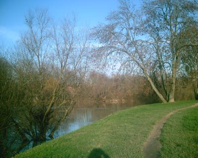 <img400*320:stuff/E%3Adenisa%20images%20et%20plusNaturePICT5084.JPG>