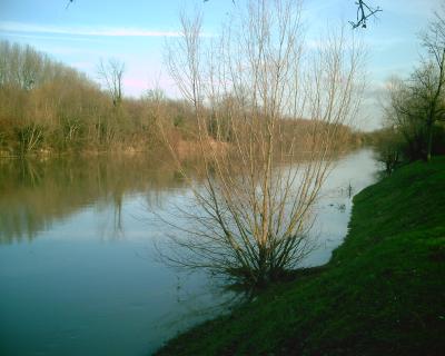 <img400*320:stuff/E%3Adenisa%20images%20et%20plusNaturePICT5086.JPG>