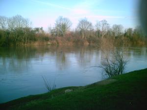 <img300*0:http://elftown.heddate.com/stuff/E%3Adenisa%20images%20et%20plusNaturePICT5089.JPG>