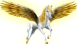 <img:http://elftown.heddate.com/stuff/ECM_PegasusGoldenWings110_rev.png>
