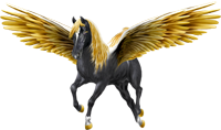 <img:http://elftown.heddate.com/stuff/ECM_PegasusGoldenWingsBlack200W-Oglow.png>