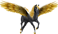 <img:http://elftown.heddate.com/stuff/ECM_PegasusGoldenWingsBlack200W-Oglow_rev.png>
