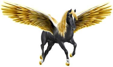 <img:http://elftown.heddate.com/stuff/ECM_PegasusGoldenWingsBlack375_rev.png>