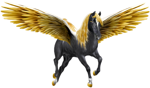 <img:http://elftown.heddate.com/stuff/ECM_PegasusGoldenWingsBlack500W-Oglow_rev.png>