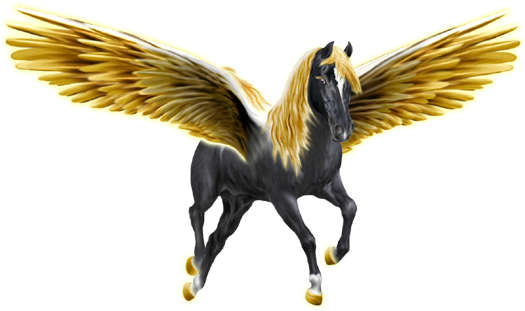 <img:http://elftown.heddate.com/stuff/ECM_PegasusGoldenWingsBlack525_rev.png>