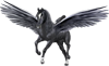 <img:stuff/ECM_Pegasus_MajesticBeauty100.png>