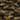 <img:stuff/EGFbullet124.jpg>