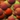 <img:stuff/EGFbullet147.jpg>