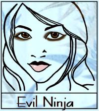 <img200*0:stuff/ENINJ.jpg>