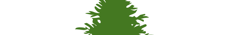 <img960*0:stuff/ETCT2.png>