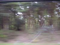<img200*0:stuff/ETphotoparanormalentry_2.jpg>