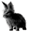 <img:stuff/EasterBulletBunBlk.png>
