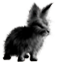 <img:stuff/EasterBulletBunBlkRev.png>