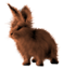 <img:stuff/EasterBulletBunChestnut.png>
