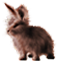 <img:stuff/EasterBulletBunRusty.png>